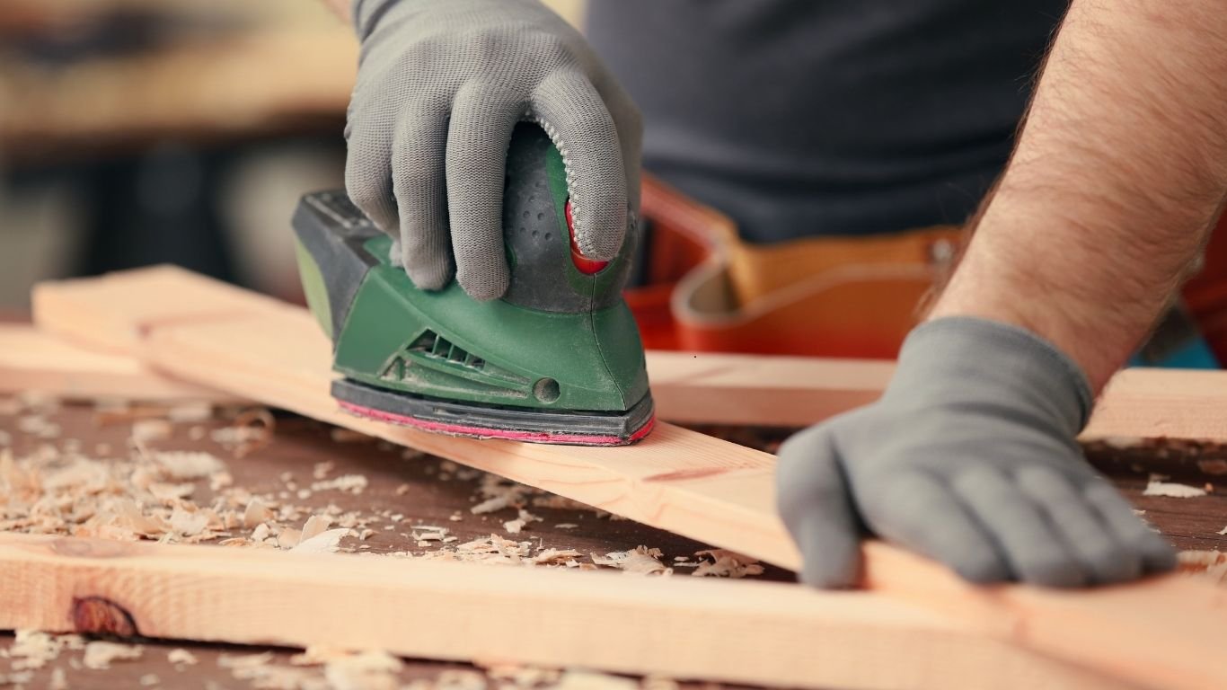 Bird Control Services