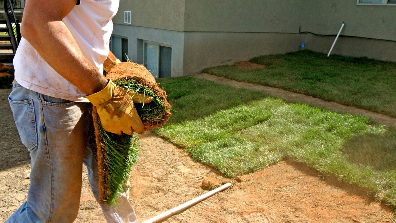 Landscape and outdoor designs